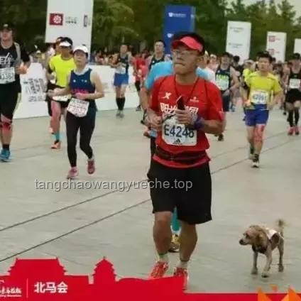 **第一批跟风跑马拉松的人，已经在康复科了：马拉松运动风险与科学准备**